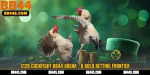 S128 Cockfight BB44 Arena - A Bold Betting Frontier