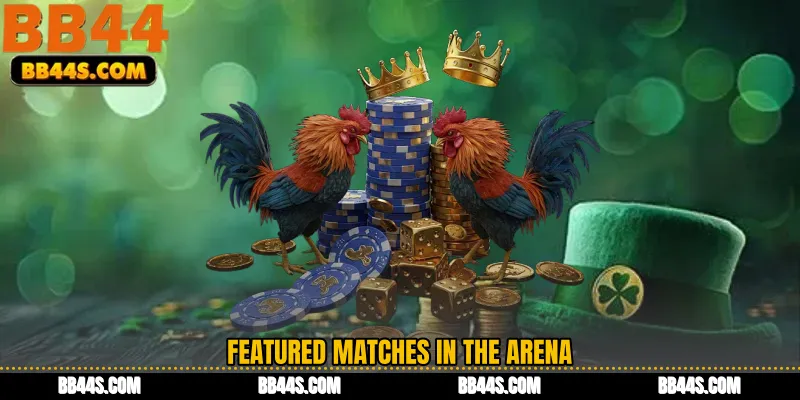 Featured Matches in the Arena