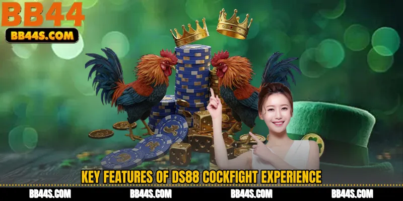 Key Features of DS88 Cockfight Experience