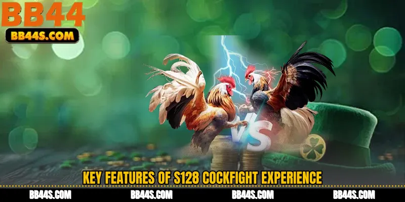 Key Features of S128 Cockfight Experience